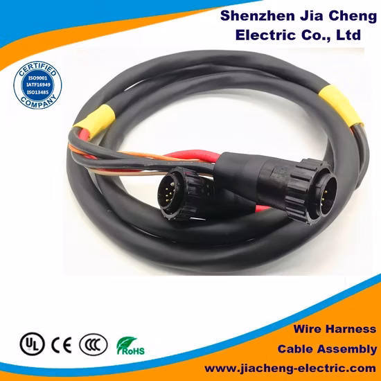 High Quality Electric Motorcycle Wiring Harness at a Favorable Price
