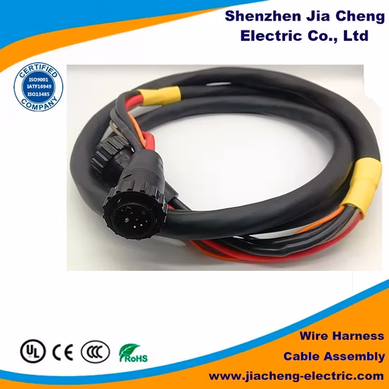 High Quality Electric Motorcycle Wiring Harness at a Favorable Price