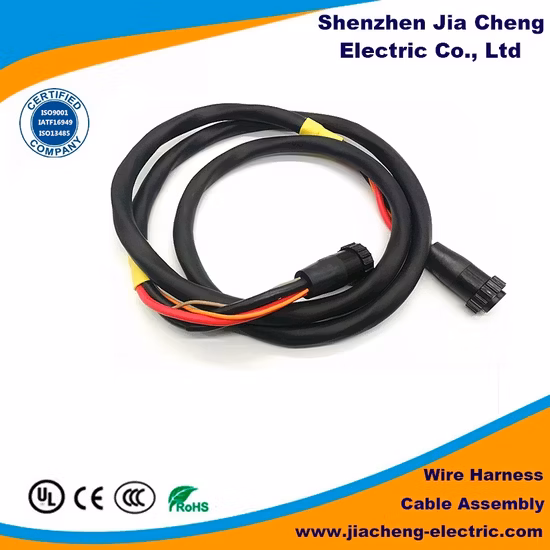 High Quality Electric Motorcycle Wiring Harness at a Favorable Price